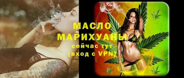твердый Бородино