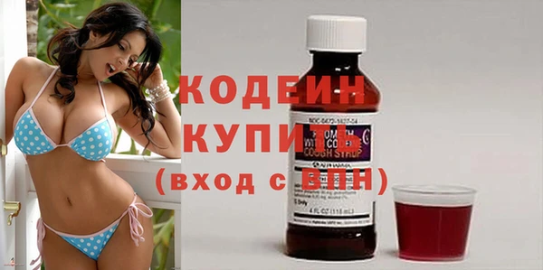 твердый Бородино