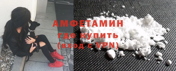 гидра Богородск