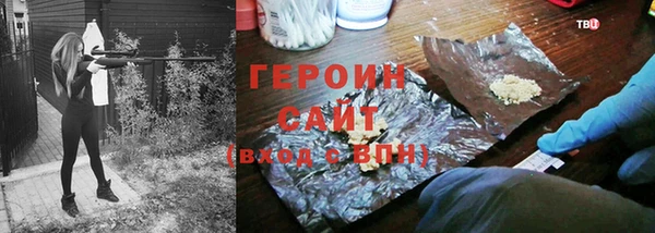 гидра Богородск