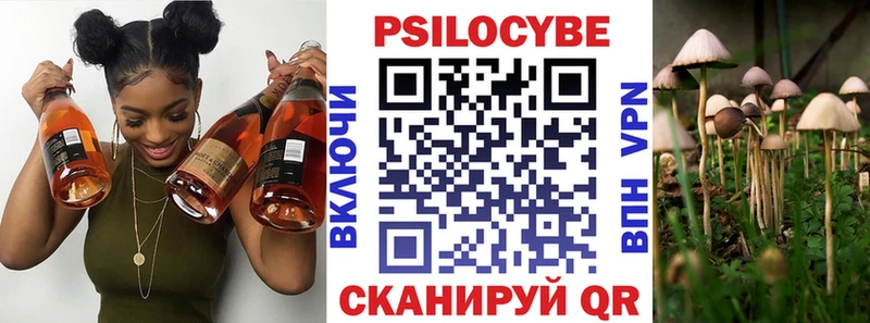 Галлюциногенные грибы Cubensis  Великий Устюг 